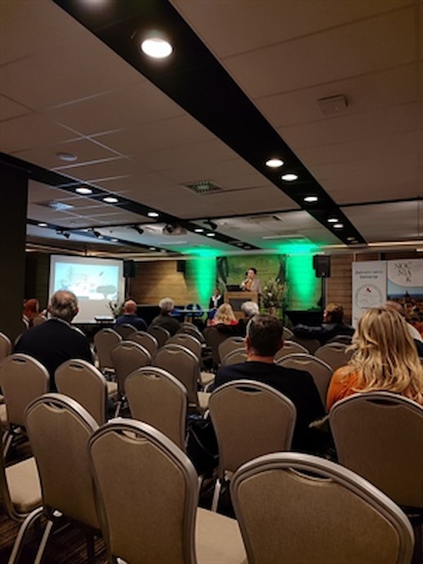 Povećanje proizvodnosti masline odabirom oprašivača